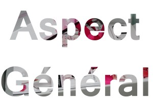 aspect g