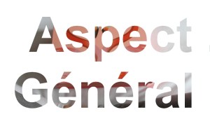 aspect g